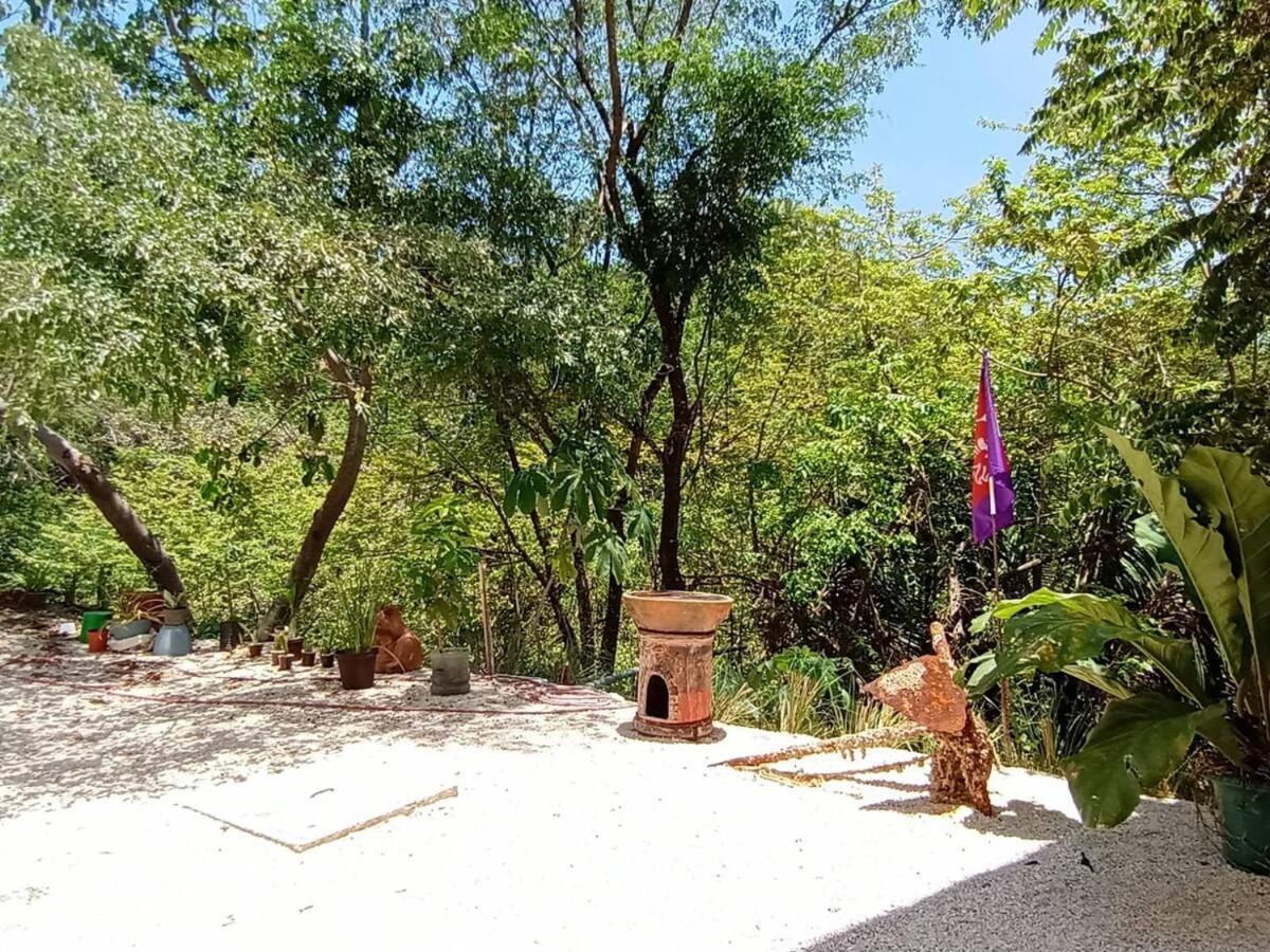 فيلا Laurel Jungle & Ocean Playa Santa Teresa  المظهر الخارجي الصورة